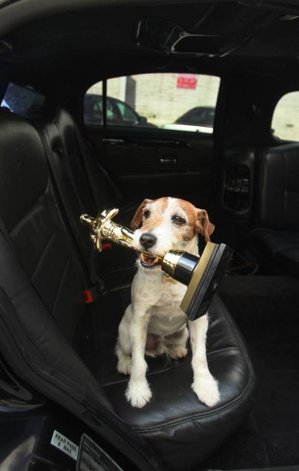 WINNER+Uggie+with+Artist+Oscar