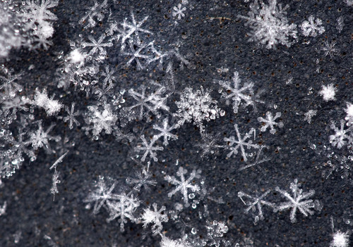 Well, aren't you a special little snowflake?