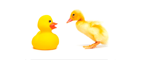 Honey, we can all tell you've had work