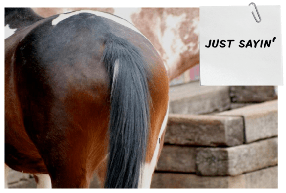 Screen Shot 2014-11-15 at 10.17.23 PM