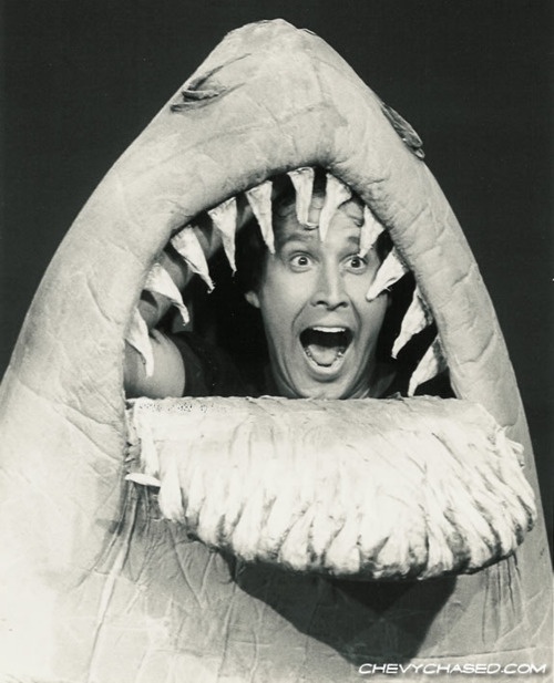 Before Katy Perry's Left Shark there was.... LANDSHARK