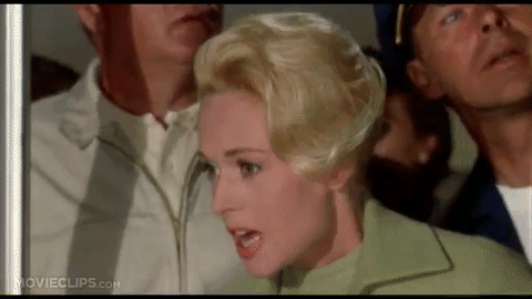 Watchin' the polls like Tippi (credit to brilliant former student Chris Ryan for this gem)